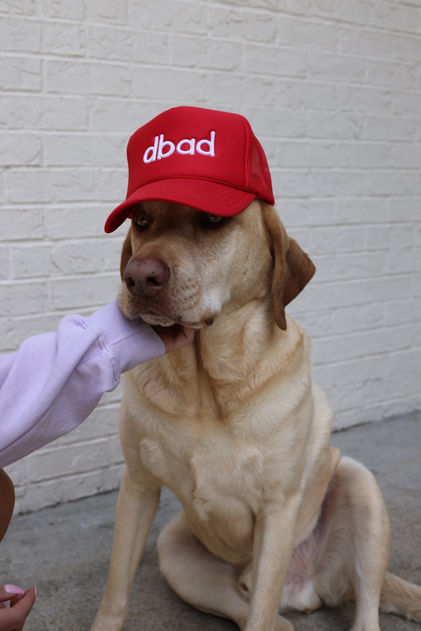 DBAD TRUCKER HAT